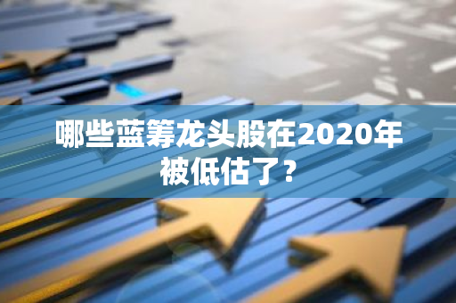 哪些蓝筹龙头股在2020年被低估了？