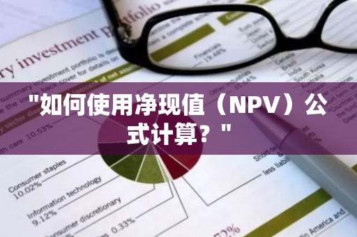 "如何使用净现值（NPV）公式计算？"