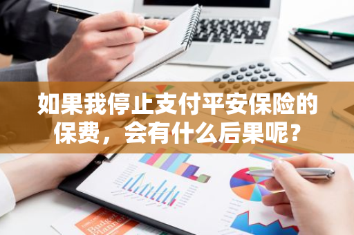 如果我停止支付平安保险的保费，会有什么后果呢？