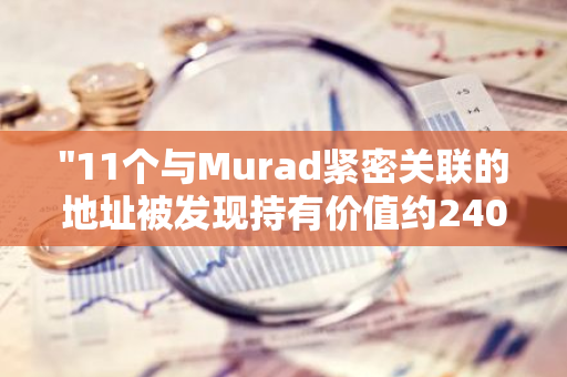 "11个与Murad紧密关联的地址被发现持有价值约2400万美元的MEME代币"