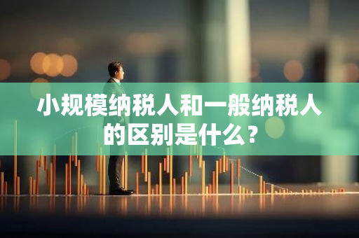 小规模纳税人和一般纳税人的区别是什么？