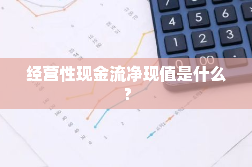 经营性现金流净现值是什么？