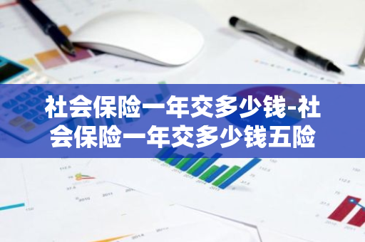 社会保险一年交多少钱-社会保险一年交多少钱五险