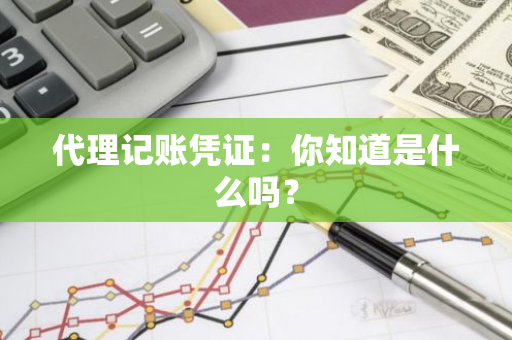 代理记账凭证：你知道是什么吗？