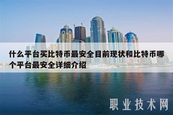 什么平台买比特币最安全目前现状和比特币哪个平台最安全详细介绍