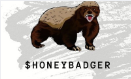 HONEY？BADGER？COIN是什么：值得投资吗？