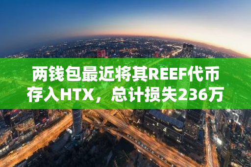 两钱包最近将其REEF代币存入HTX，总计损失236万美元，引发市场关注