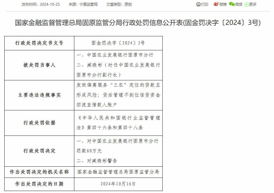 农发行固原市分行被罚60万：因发放偏离服务“三农”定位的贷款且形成风险等