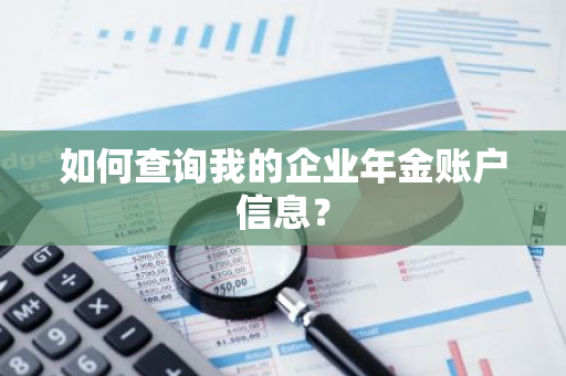 如何查询我的企业年金账户信息？