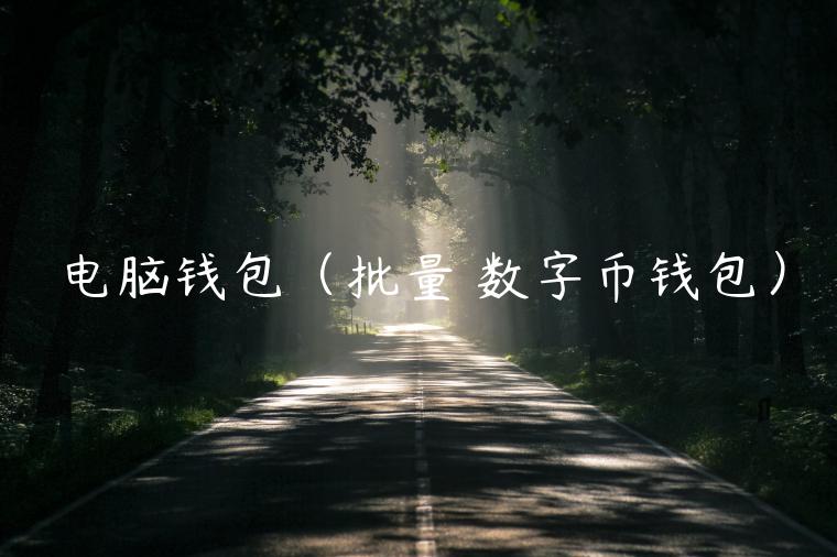 电脑钱包（批量 数字币钱包）