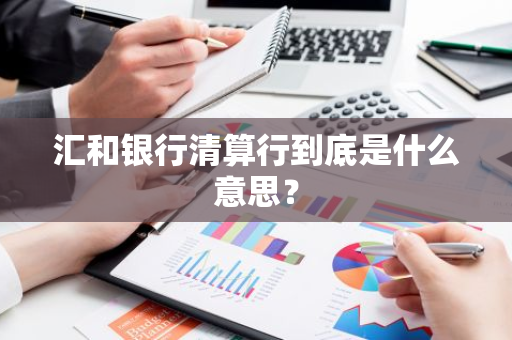 汇和银行清算行到底是什么意思？