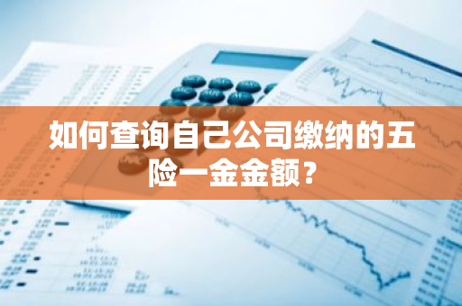 如何查询自己公司缴纳的五险一金金额？