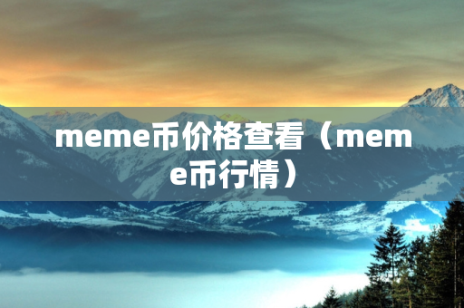 meme币价格查看（meme币行情）