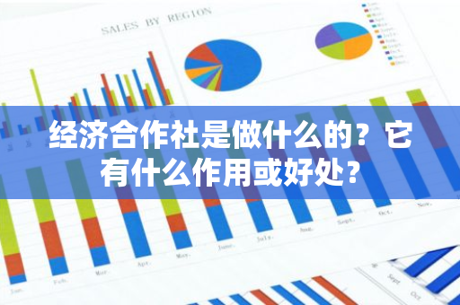 经济合作社是做什么的？它有什么作用或好处？