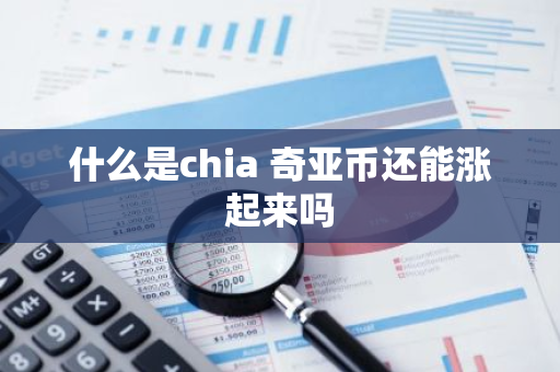 什么是chia 奇亚币还能涨起来吗