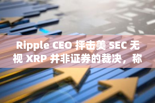 Ripple CEO 抨击美 SEC 无视 XRP 并非证券的裁决，称其越权