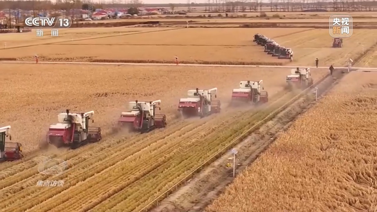 粮食产能如何再增千亿斤？中国有“粮”方