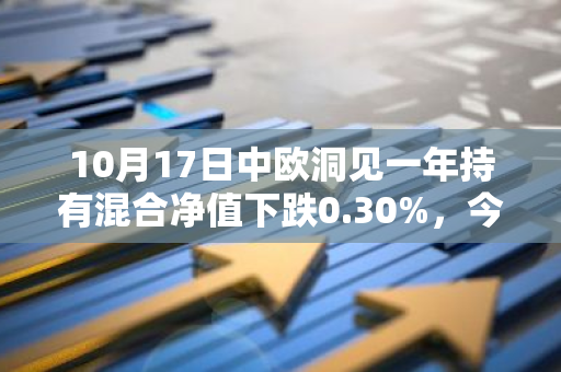 10月17日中欧洞见一年持有混合净值下跌0.30%，今年来累计上涨7.42%