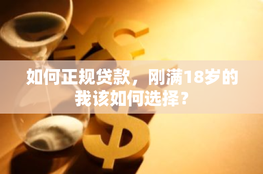 如何正规贷款，刚满18岁的我该如何选择？