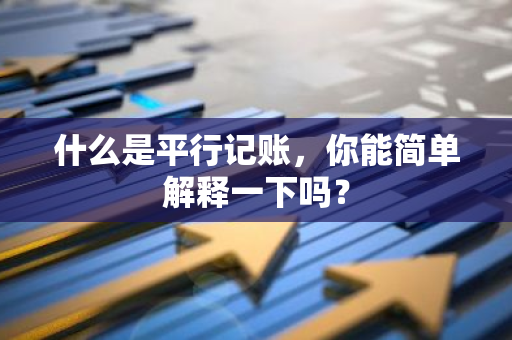 什么是平行记账，你能简单解释一下吗？