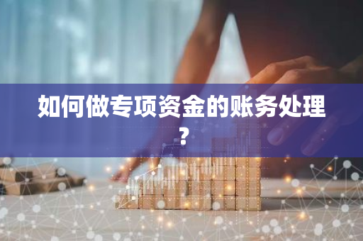 如何做专项资金的账务处理？