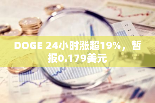 DOGE 24小时涨超19%，暂报0.179美元