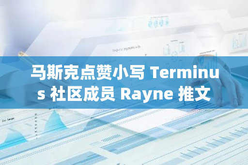 马斯克点赞小写 Terminus 社区成员 Rayne 推文