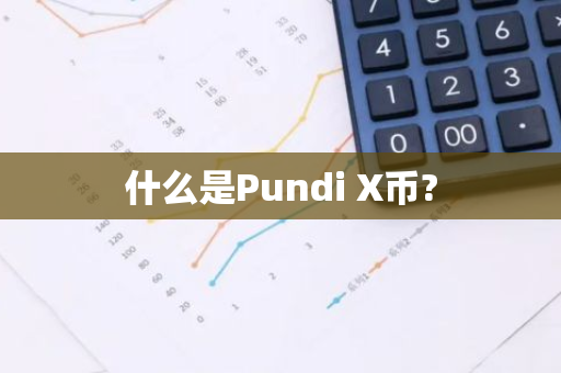 什么是Pundi X币?