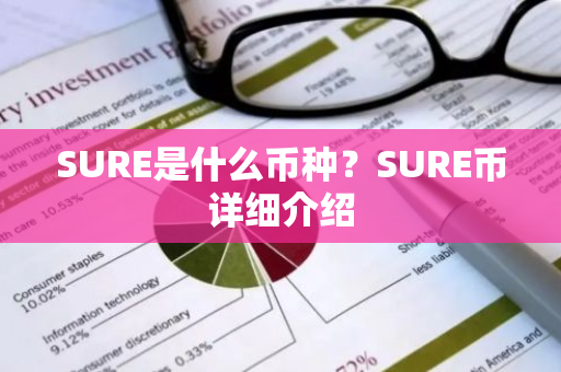 SURE是什么币种？SURE币详细介绍