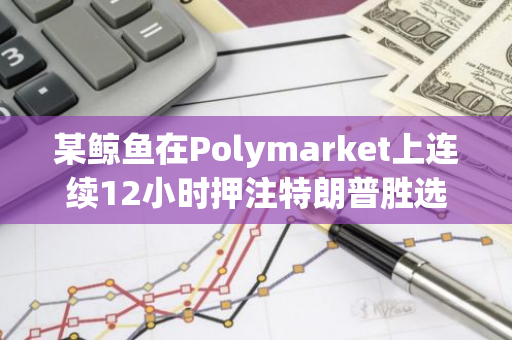 某鲸鱼在Polymarket上连续12小时押注特朗普胜选，累计投入93.8万美元