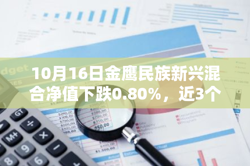 10月16日金鹰民族新兴混合净值下跌0.80%，近3个月累计上涨1.68%