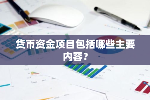 货币资金项目包括哪些主要内容？