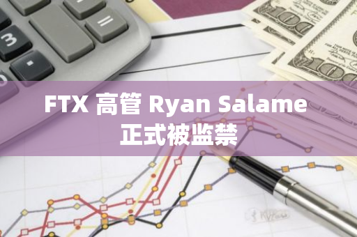 FTX 高管 Ryan Salame 正式被监禁