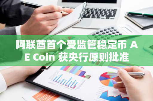 阿联酋首个受监管稳定币 AE Coin 获央行原则批准