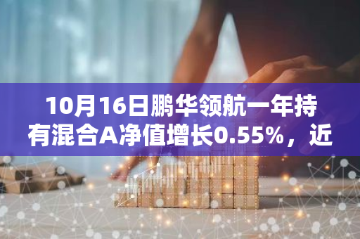 10月16日鹏华领航一年持有混合A净值增长0.55%，近1个月累计上涨19.19%