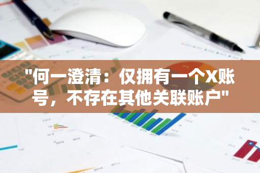 "何一澄清：仅拥有一个X账号，不存在其他关联账户"