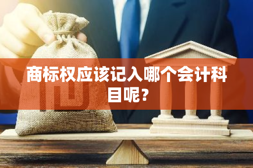 商标权应该记入哪个会计科目呢？