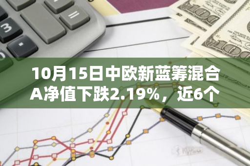 10月15日中欧新蓝筹混合A净值下跌2.19%，近6个月累计上涨2.38%