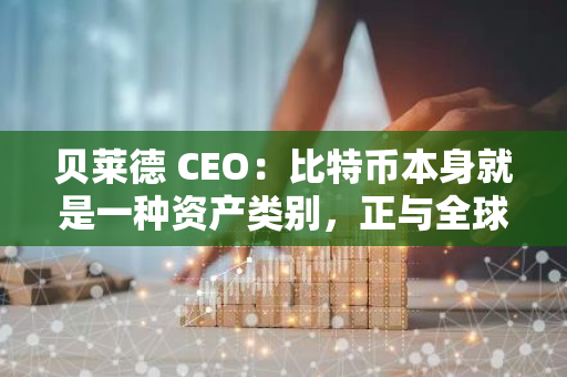 贝莱德 CEO：比特币本身就是一种资产类别，正与全球机构讨论其配置问题