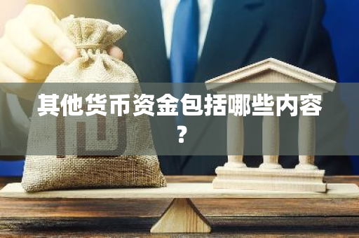 其他货币资金包括哪些内容？