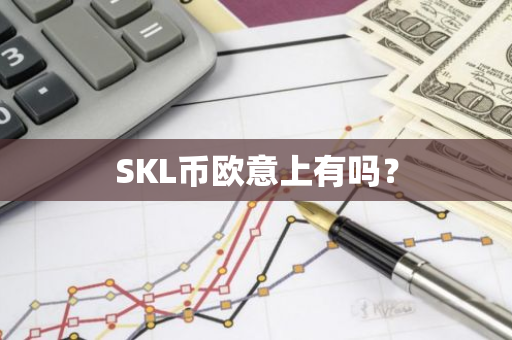 SKL币欧意上有吗？