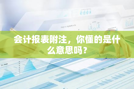 会计报表附注，你懂的是什么意思吗？