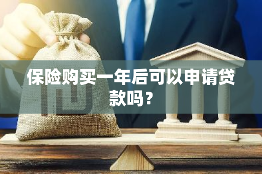 保险购买一年后可以申请贷款吗？