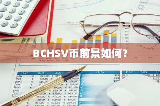 BCHSV币前景如何？