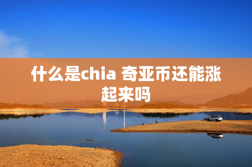 什么是chia 奇亚币还能涨起来吗