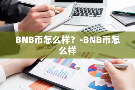 BNB币怎么样？-BNB币怎么样