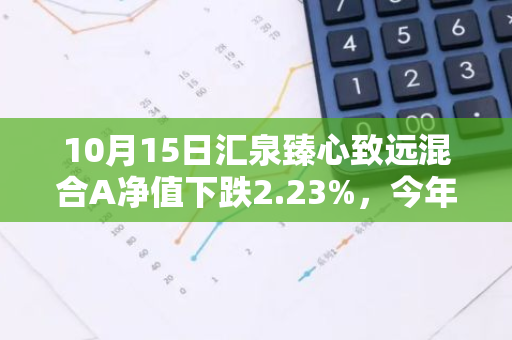 10月15日汇泉臻心致远混合A净值下跌2.23%，今年来累计下跌19.29%