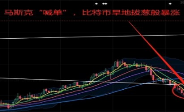 比特币呀最新app下载 比特币呀最新app安卓版下载v1.1.0