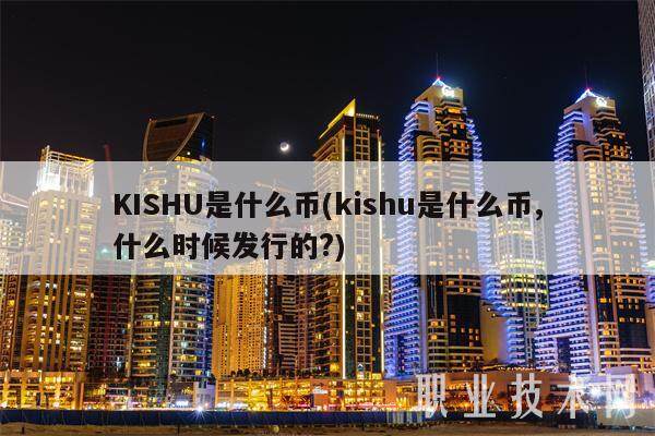 KISHU是什么币(kishu是什么币,什么时候发行的?)