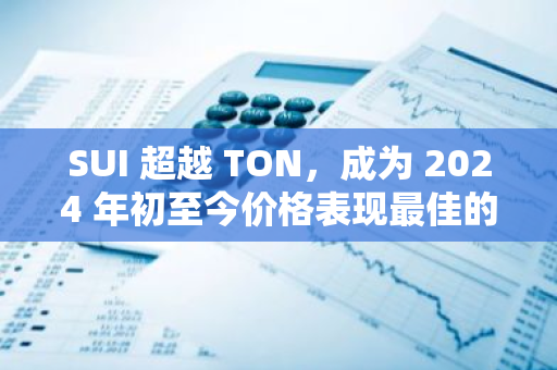 SUI 超越 TON，成为 2024 年初至今价格表现最佳的公链代币